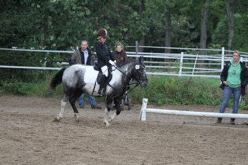 Bild 1131 - WBO-Turnier am 18.9.11